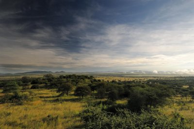 Tanzania 0449.jpg