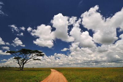 Tanzania 0452.jpg