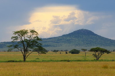 Tanzania 0455.jpg