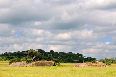 Tanzania 0456.jpg