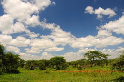Tanzania 0461.jpg