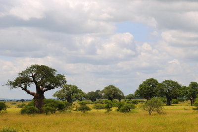 Tanzania 0474.jpg