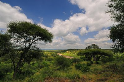Tanzania 0477.jpg