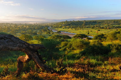 Tanzania 0482.jpg