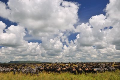 Tanzania 0431.jpg