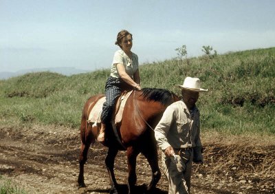 g5/39/733439/3/119159408.TATauwCI.jpg