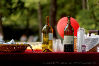 Ballon behind red wine bottle - original shot