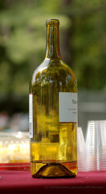 Single white wine bottle - narrow and tall crop