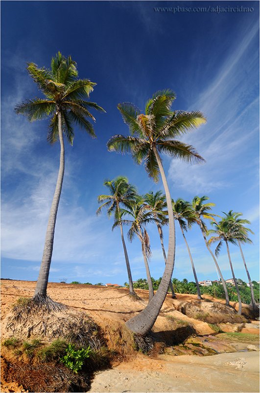 Coqueiros