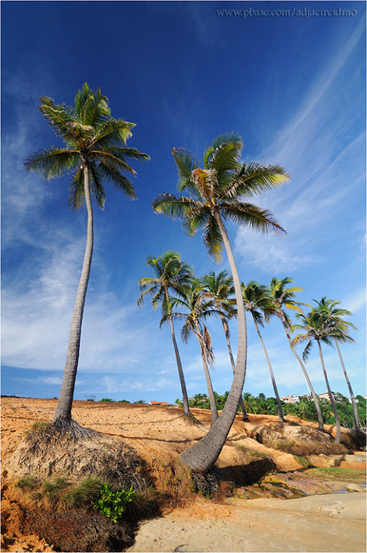 Coqueiros