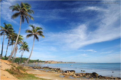 Vista de coqueiros e Praia