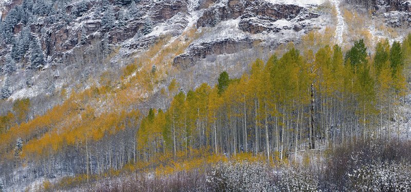 Snowmass Area - Snowy Fall Color 3