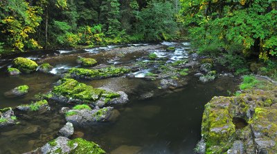 South Santiam River Mossy Rocks