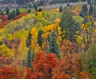 Durango - Hillside Color 2