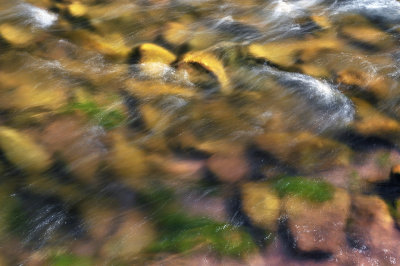 Roaring Forks River Closeup 1