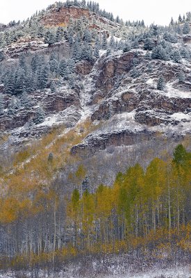 Snowmass Area - Snowy Fall Color 1