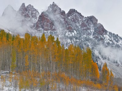 CO - Snowmass Area - Snowy Fall Color 11
