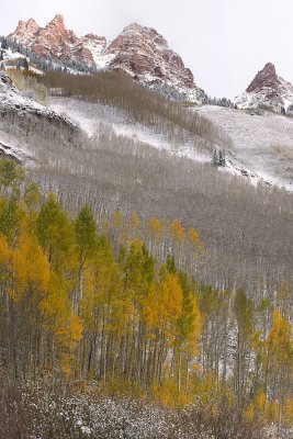 Snowmass Area - Snowy Fall Color 2