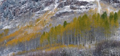Snowmass Area - Snowy Fall Color 3