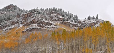 Snowmass Area - Snowy Fall Color 4