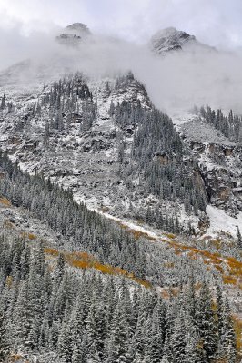 Snowmass Area - Snowy Fall Color 6