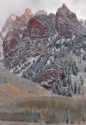 CO - Snowmass Area - Snowy Fall Color 9