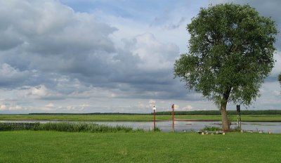 Campsite