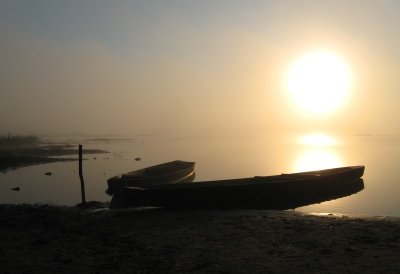 Biebzra river