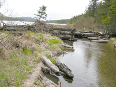 Old Drive Dam Wildgoose Lake