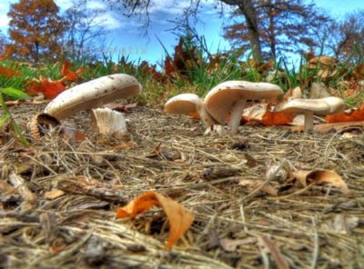 hdr_photographs