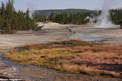 Yellowstone nat.park (USA)