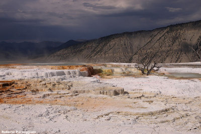 Yellowstone nat park (USA)