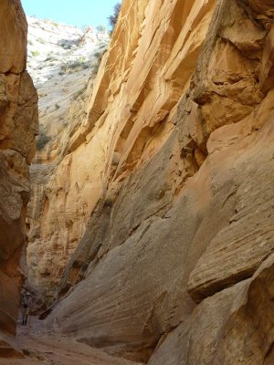The walls are high and multicolored, and the floor of the canyon dry.