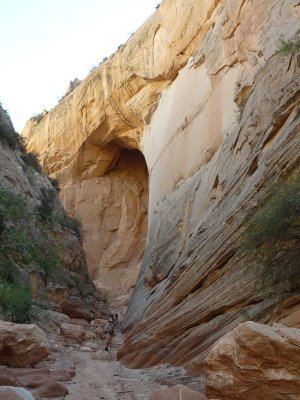 An arched alcove in the canyon wall