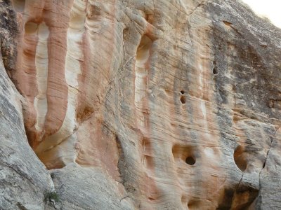 Interesting canyon wall -- thickened by eons of drips?...