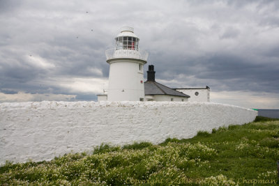 Inner Farne Lighthouse