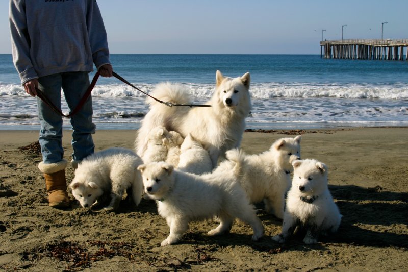 October 7th Alt - Walk On The Beach