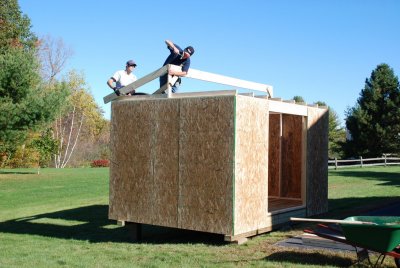 Shed_10.JPG