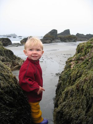 2007