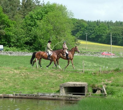 Dscf0808.jpg.2.jpg