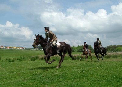 Hawick Common Riding 2008 - Acting Father's Pride