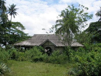 Jungle reclaims an old building beside the line