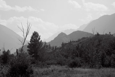 A walk in the mountains of  Nye, Montana.