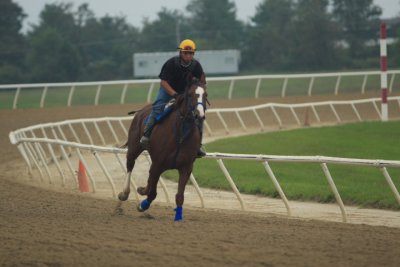 Fairhill Training Center0005.JPG