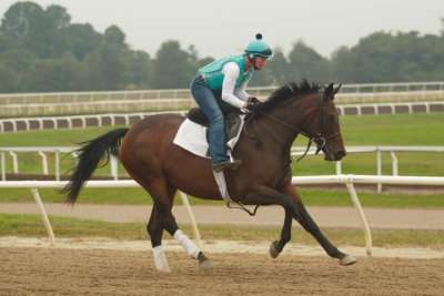 Fairhill Training Center0007.JPG
