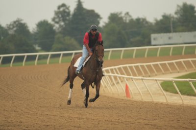 Fairhill Training Center0008.JPG