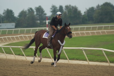 Fairhill Training Center0009.JPG