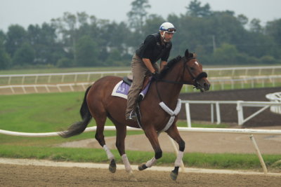 Fairhill Training Center0010.JPG