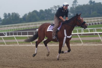 Fairhill Training Center0012.JPG