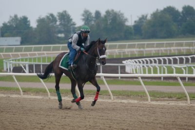 Fairhill Training Center0014.JPG